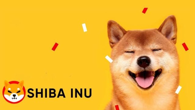 El aumento del 30% de Shiba Inu causa sensación en las redes sociales